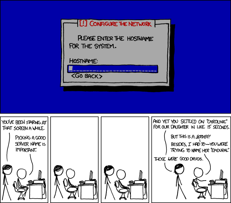 XKCD comic where a person jokes that naming a server is harder than naming a child